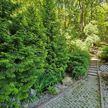 Przy Lesie Appartamento