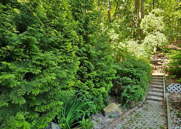 Przy Lesie Апартаменты